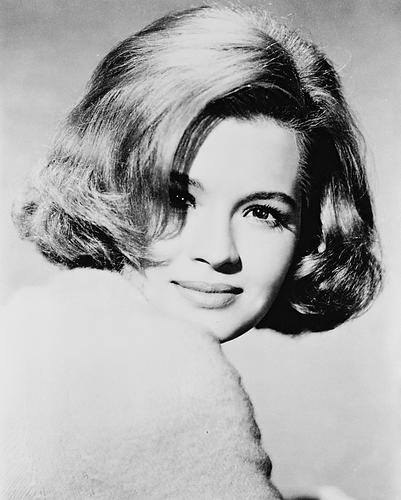 Movie Market - Photograph & Poster of Angie Dickinson 167382