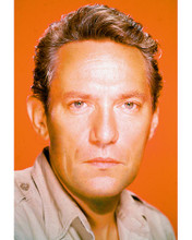 This is an image of 266923 Peter Finch Photograph & Poster