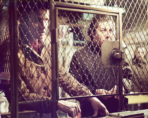 Movie Market - Photograph & Poster of Midnight Cowboy 266449