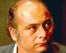 This is an image of 267189 Burt Young Photograph & Poster