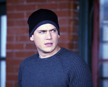 This is an image of 276312 Wentworth Miller Photograph & Poster
