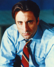 This is an image of 225761 Andy Garcia Photograph & Poster