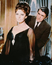 This is an image of 245646 Gregory Peck & Sophia Loren Photograph & Poster