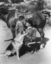 This is an image of 171103 Rin Tin Tin Photograph & Poster