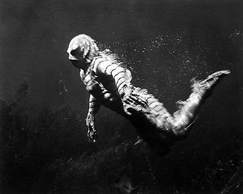 This is an image of 197994 Revenge of the Creature Photograph & Poster