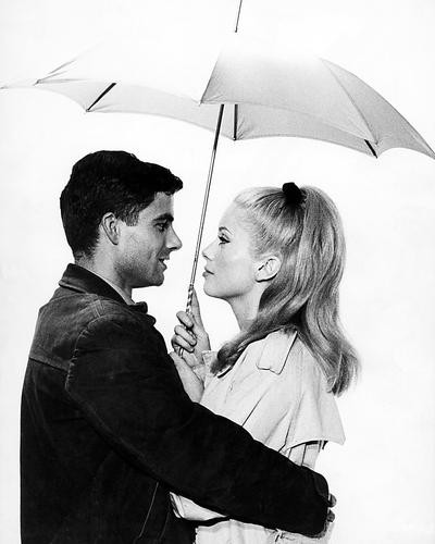 This is an image of 199151 The Umbrellas of Cherbourg Photograph & Poster