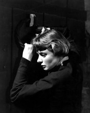 This is an image of 190228 Ingrid Bergman Photograph & Poster