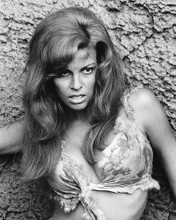 This is an image of 280934 Raquel Welch Photograph & Poster
