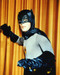 This is an image of 280798 Adam West Photograph & Poster