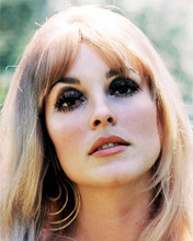 This is an image of 280788 Sharon Tate Photograph & Poster