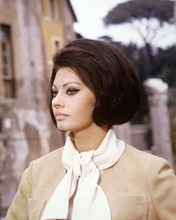 This is an image of 280984 Sophia Loren Photograph & Poster
