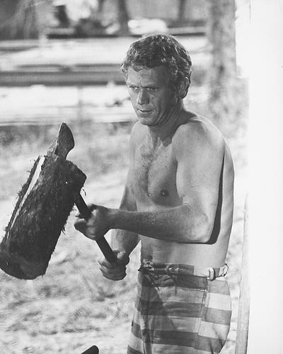 This is an image of 190277 Steve McQueen Photograph & Poster