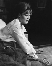 This is an image of 190337 Maggie Smith Photograph & Poster
