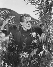 This is an image of 190518 Boris Karloff Photograph & Poster