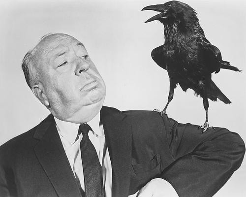 This is an image of 190460 Alfred Hitchcock Photograph & Poster