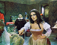 This is an image of 280991 Elizabeth Taylor Photograph & Poster