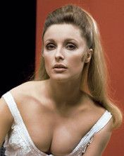 This is an image of 281024 Sharon Tate Photograph & Poster