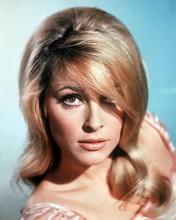 This is an image of 281025 Sharon Tate Photograph & Poster