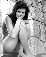 This is an image of 190702 Raquel Welch Photograph & Poster