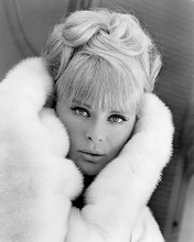 This is an image of 190834 Elke Sommer Photograph & Poster
