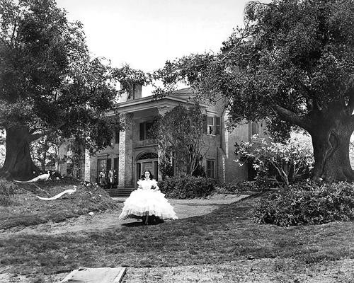 This is an image of 191119 Vivien Leigh Photograph & Poster