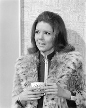 This is an image of 191197 Diana Rigg Photograph & Poster