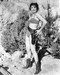 This is an image of 191279 Gina Lollobrigida Photograph & Poster