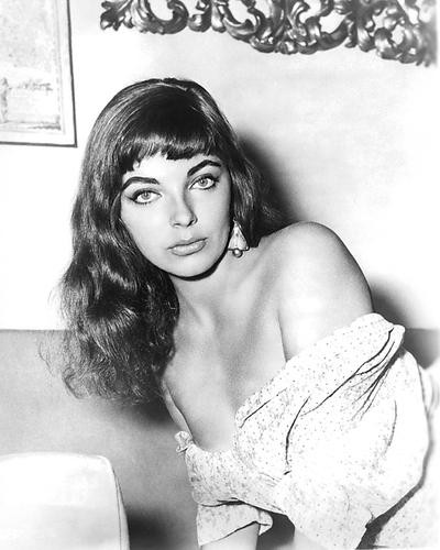 This is an image of 191215 Joan Collins Photograph & Poster