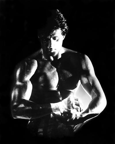 This is an image of 191533 Sylvester Stallone Photograph & Poster