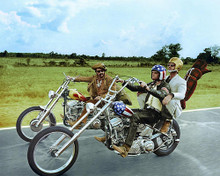This is an image of 281763 Easy Rider Photograph & Poster