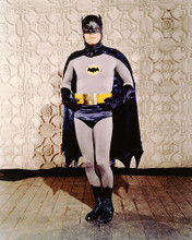 This is an image of 281766 Batman Photograph & Poster