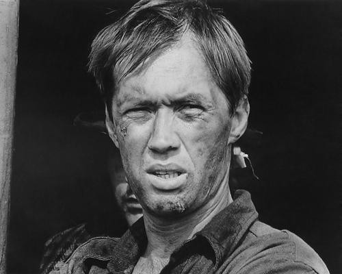 This is an image of 192051 David Carradine Photograph & Poster