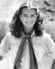 This is an image of 192054 Brooke Shields Photograph & Poster