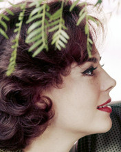 This is an image of 281877 Natalie Wood Photograph & Poster