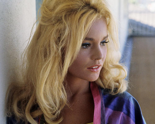 This is an image of 281906 Tuesday Weld Photograph & Poster