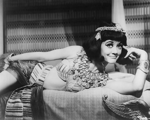 This is an image of 192205 Amanda Barrie Photograph & Poster