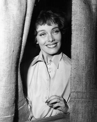 ジュリー・アダムス直筆サイン入り超 特大写真…Julie Adams… ジュリー・アダムス直筆サイン入り超 特大写真…Julie Adams…2