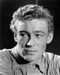 This is an image of 192323 Peter O'Toole Photograph & Poster