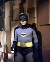 This is an image of 282065 Batman Photograph & Poster