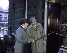 This is an image of 282074 The Private Life of Sherlock Holmes Photograph & Poster
