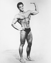 This is an image of 170759 Steve Reeves Photograph & Poster