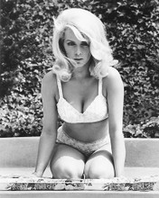 This is an image of 170918 Stella Stevens Photograph & Poster