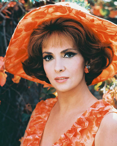 This is an image of 213347 Gina Lollobrigida Photograph & Poster