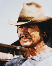 This is an image of 214036 Charles Bronson Photograph & Poster