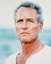 This is an image of 214128 Paul Newman Photograph & Poster
