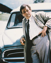 This is an image of 215005 Peter Falk Photograph & Poster