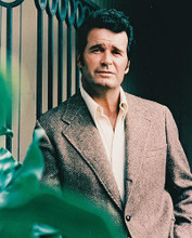 This is an image of 215590 James Garner Photograph & Poster
