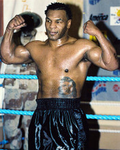 This is an image of 245334 Mike Tyson Photograph & Poster
