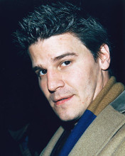 This is an image of 246372 David Boreanaz Photograph & Poster