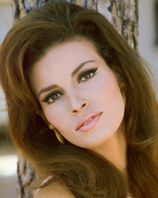 This is an image of 216690 Raquel Welch Photograph & Poster